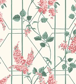 Wisteria Wallpaper by Cole & Son Coral & Sage on Parchment