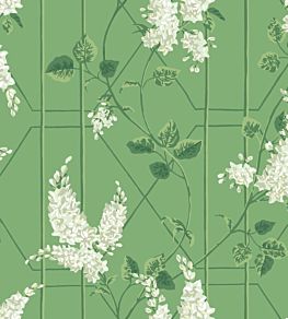 Wisteria Wallpaper by Cole & Son Sage on Leaf Green