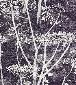 Cow Parsley Wallpaper by Cole & Son Etch Grey