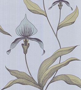 Orchid Wallpaper by Cole & Son 26
