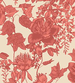 Tivoli Wallpaper by Cole & Son 7033