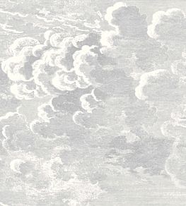 Nuvolette Mural by Cole & Son Soot and Snow