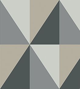 Apex Grand Wallpaper by Cole & Son 10043