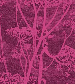 Cow Parsley Velvet Fabric by Cole & Son Magenta & Plum