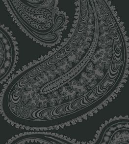Rajapur Velvet Fabric by Cole & Son Charcoal