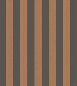 Regatta Stripe Wallpaper by Cole & Son Tan/Black