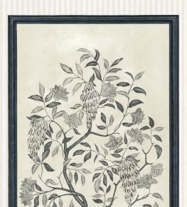 Trees of Eden Eternity Mural by Cole & Son Charcoal/Parchment