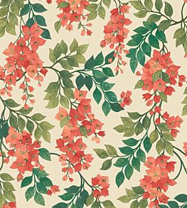 Bougainvillea Wallpaper by Cole & Son 6016
