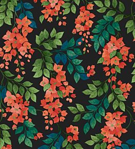 Bougainvillea Wallpaper by Cole & Son 6017