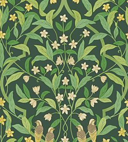 Jasmine And Serin Symphony Wallpaper by Cole & Son 10029