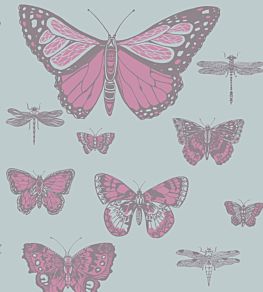 Butterflies & Dragonflies Wallpaper by Cole & Son Pink & Blue