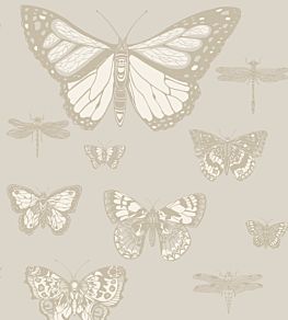 Butterflies & Dragonflies Wallpaper by Cole & Son Grey