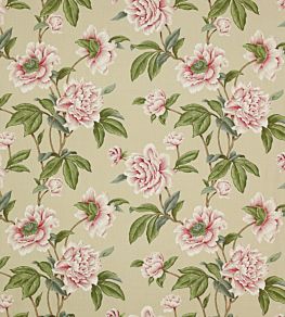 Giselle Fabric by Colefax and Fowler Pink/Green