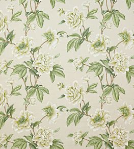 Giselle Fabric by Colefax and Fowler Ivory