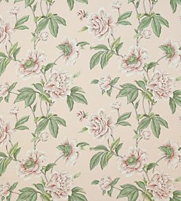 Giselle Fabric by Colefax and Fowler Shell Pink