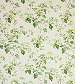 Summerby Cotton Fabric by Colefax and Fowler Leaf Green