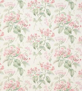Eloise Fabric by Colefax and Fowler Pink/Green