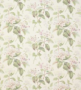 Eloise Fabric by Colefax and Fowler Ivory/Green