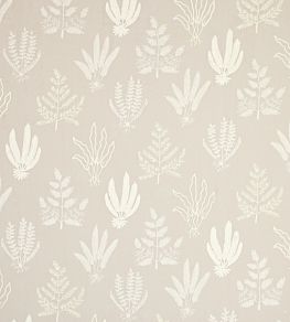 Frensham Fabric by Colefax and Fowler Beige