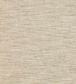 Irving Fabric by Colefax and Fowler Stone