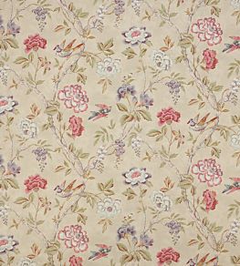 Leonora Fabric by Colefax And Fowler Pink/Green