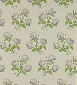 Bowood Wallpaper by Colefax and Fowler Grey/Green