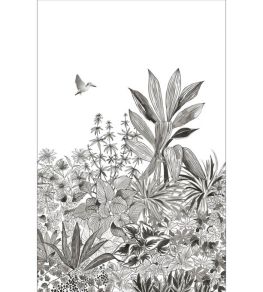 Colibri Mural by Caselio Noir et Blanc