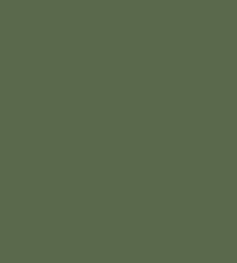 Colour Box Velvet Fabric by Cole & Son Moss