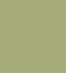 Colour Box Velvet Fabric by Cole & Son Sage