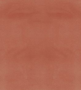 Columbia Fabric by Wemyss Coral