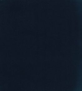 Columbia Fabric by Wemyss Ebony