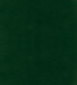 Columbia Fabric by Wemyss Hunter