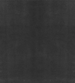 Columbia Fabric by Wemyss Mole
