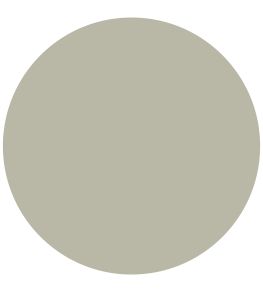 Cotswold Green Satin Paint by Annie Sloan Cotswold Green