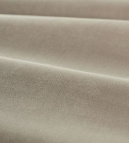 Cotton Velvet Performance Fabric by Zoffany Mink