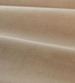 Cotton Velvet Performance Fabric by Zoffany Parchment