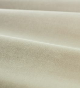 Cotton Velvet Performance Fabric by Zoffany Platinum Grey
