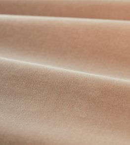 Cotton Velvet Performance Fabric by Zoffany Rose Quartz