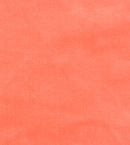 Cotton Velvet Plain Fabric by Liberty Bloomer