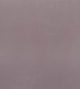 Coulisse Fabric by Camengo Vigne