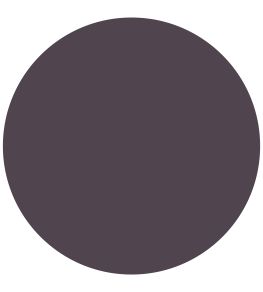 Damson 1829 Chalky Emulsion Paint by Craig & Rose Damson
