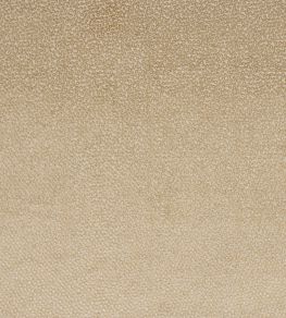Darwin Fabric by Jane Churchill Beige