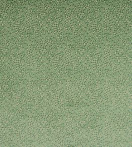 Darwin Fabric by Jane Churchill Green