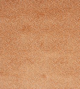 Darwin Fabric by Jane Churchill Orange