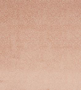Darwin Fabric by Jane Churchill Pink