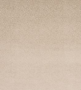 Darwin Fabric by Jane Churchill Stone