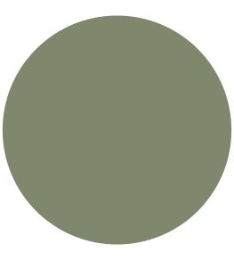 Deep Adam Green 1829 Gloss Paint by Craig & Rose Deep Adam Green