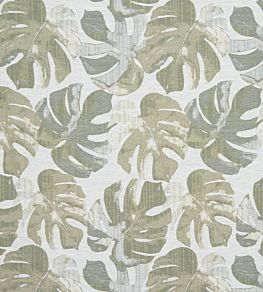 Deliciosa Fabric by Ashley Wilde Kiwi