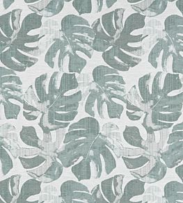 Deliciosa Fabric by Ashley Wilde Spa