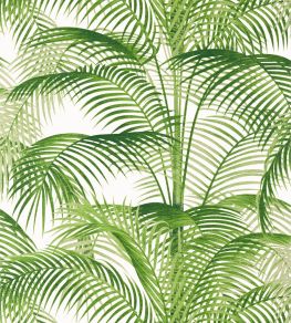 Delray Wallpaper by Thibaut Green